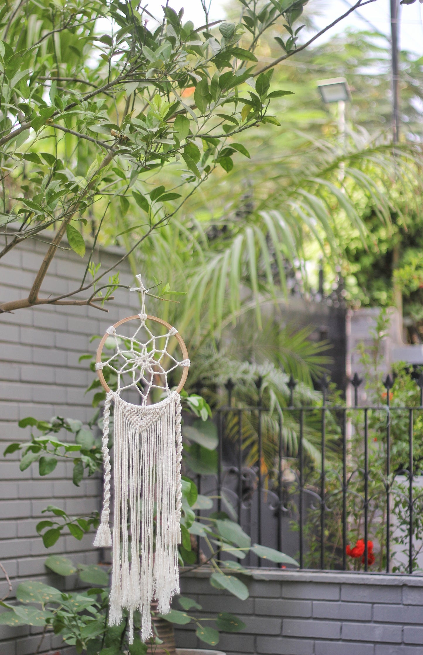 Macrame Dream Catcher